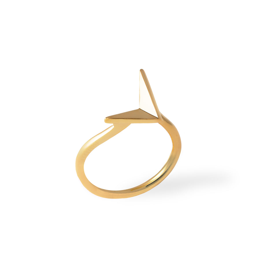 Large gold ring inspired by the migratory birds