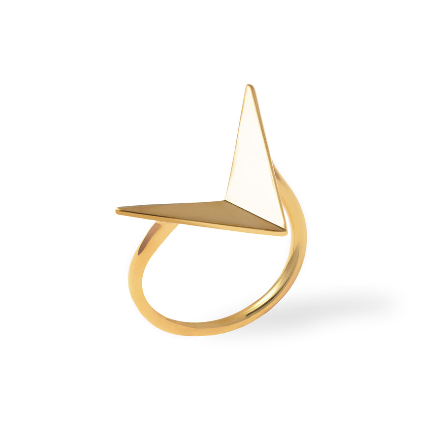 Large gold ring Flying birds